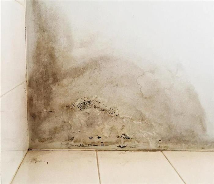 Bottom Corner of a Wall Showing a Large Water Stain