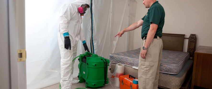 Braintree, MA mold removal process